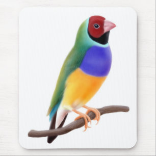 Passarinho Mousepad de Gouldian