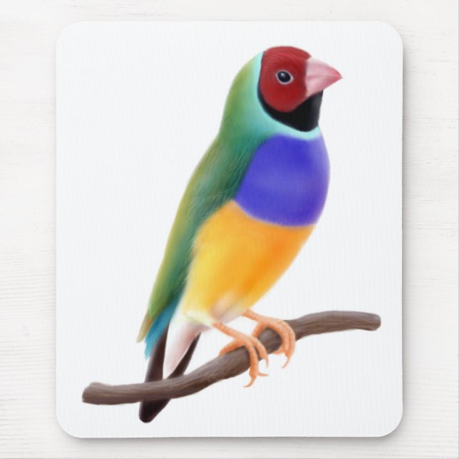 Passarinho Mousepad de Gouldian (Frente)