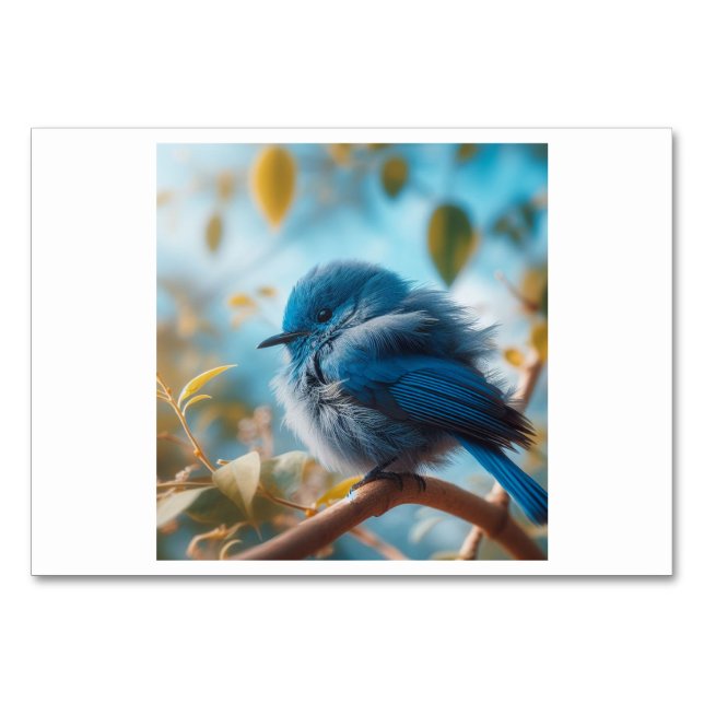 Pássaro (鸟 / niău o) - Cartões Flash chineses (Frente)