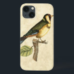 Pássaro Amarelo e Verde Empoleirado em um pequeno<br><div class="desc">Este impressão gravado exibe imagens nítidas e vívidas com alto grau de precisão de cores. O fundo neutro ajuda a enfatizar as cores da ave. Personalize seu produto Zazzle favorito usando esta bela imagem.</div>