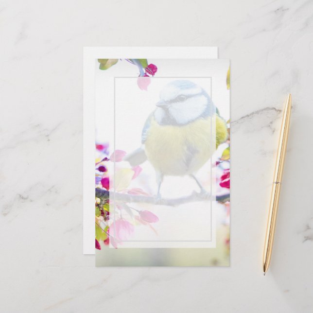 Pássaro Azul e Amarelo bonito em uma Fotografia de (Frente/Verso In Situ)