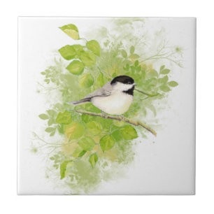 Pássaro bonito do Chickadee da aguarela na árvor