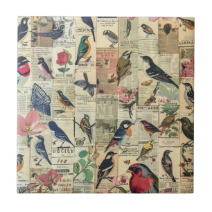 Pássaro Borboleta Jornal Botânico Vintage