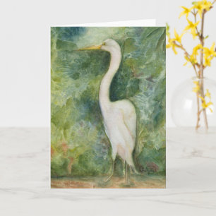 Pássaro branco Egret na selva com cartão orgulho