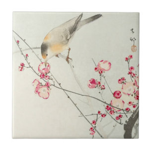 Pássaro Canoro no Ramo Florido por Ohara Koson