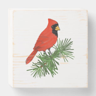 Pássaro Cardeal Vermelho na Árvore do Pinho
