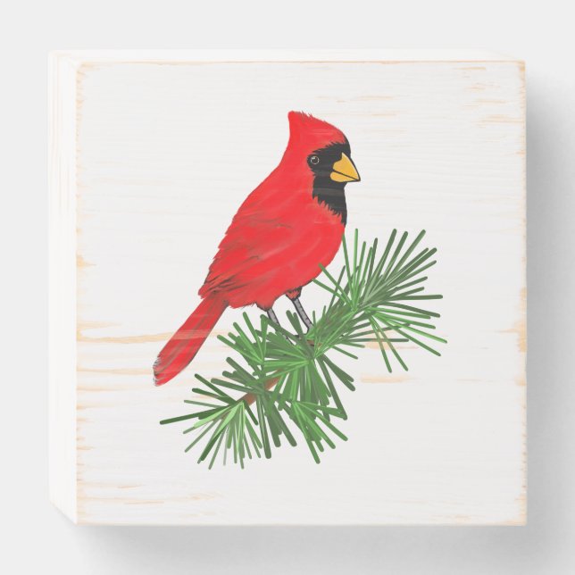 Pássaro Cardeal Vermelho na Árvore do Pinho (Frente Horizontal)