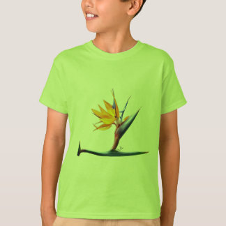 Pássaro da Camisa do Paraíso