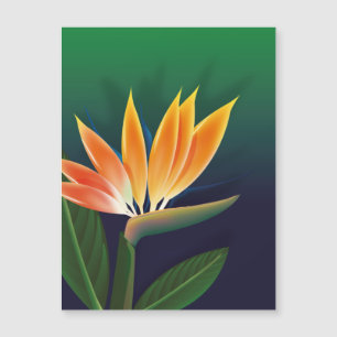 Pássaro da flor do paraíso