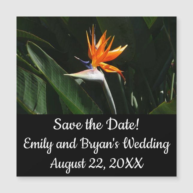 Pássaro da Flor Tropical Laranja do Paraíso (Frente)