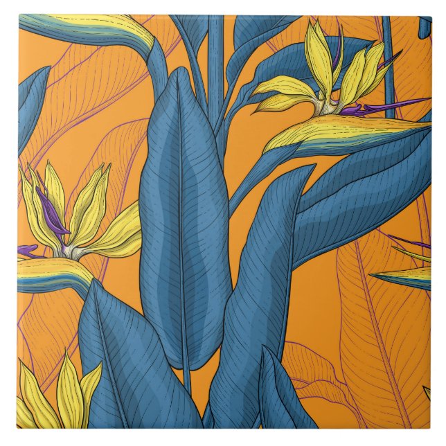 Pássaro das flores do paraíso em laranja (Frente)