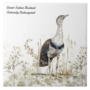 Pássaro de Bustard Indiano, Pintado com as Mãos