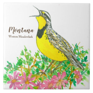 Pássaro de estado de aves canoras de Montana