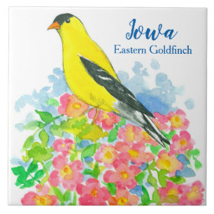 Pássaro de estado oriental amarelo do Goldfinch d
