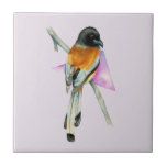 Pássaro de Oriole com pintura da aguarela do<br><div class="desc">Esta é uma pintura da aguarela de um oriole empoleirado em um ramo. Eu adicionei um elemento abstrato à pintura.</div>