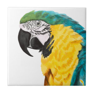 Pássaro de papagaio tropical