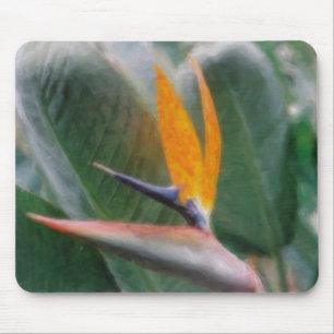 Pássaro de paraíso havaiano Mousepads
