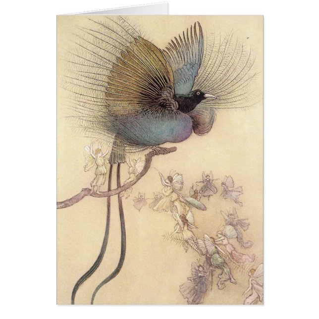 Pássaro de paraíso pelo cartão de Warwick Goble do (Frente)