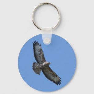 Pássaro do Buzzard do chaveiro da rapina