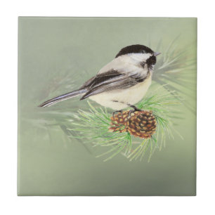 Pássaro do Chickadee da aguarela na arte da