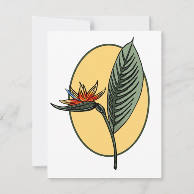 Pássaro do Paraíso (Frente)