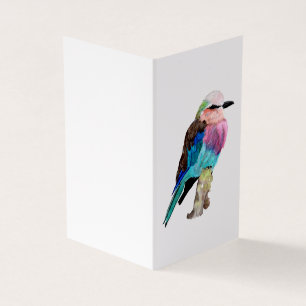 Pássaro do rolo de Breasted do Lilac