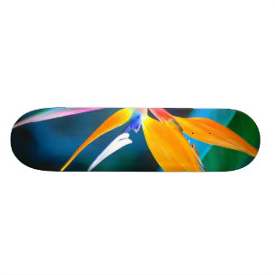 pássaro do skate de Havaí do paraíso