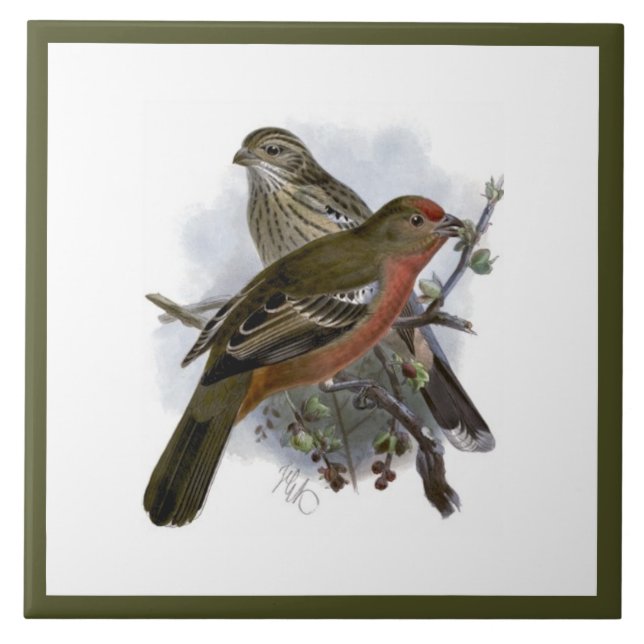 Pássaro e Folhagem, de cor azul-esbranquiçada (Frente)