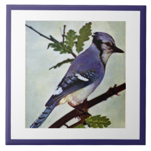 Pássaro e Folhagem, de cor azul-esbranquiçada