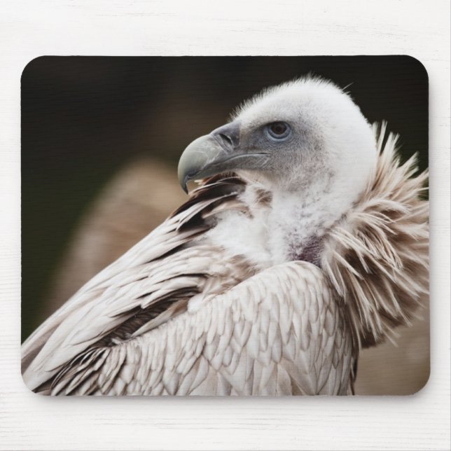 Pássaro engraçado Mousepad do abutre (Frente)