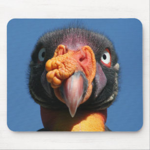 Pássaro feio Mousepad do rei abutre