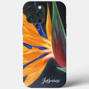 Pássaro Floral Floral Elegante Do Script De Nome D