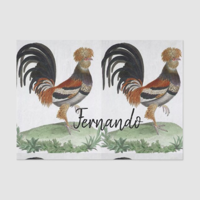 Pássaro Francês de Papel Tecidual (Frente )