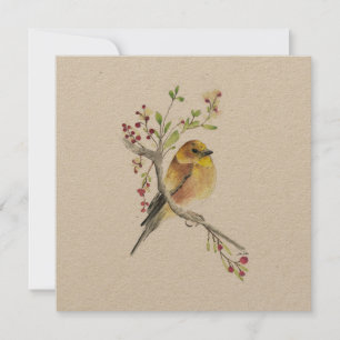 Pássaro Goldfinch Watercolor