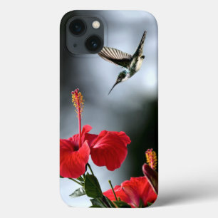 Pássaro Humming e Flor Vermelha