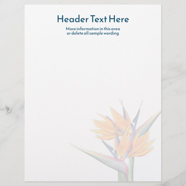 Pássaro Laranja do Papel de carta do Vazio do Para (Frente)