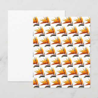 Pássaro Laranja do Papel Escrapbook de Padrão do P