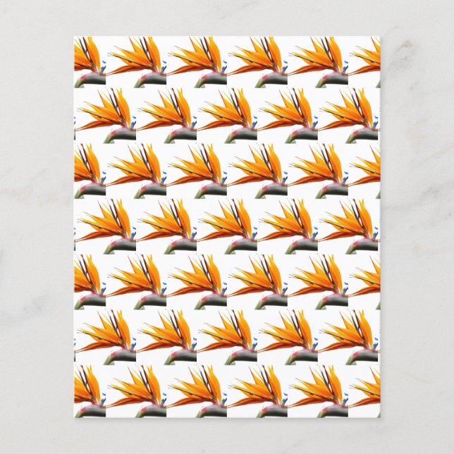 Pássaro Laranja do Papel Escrapbook de Padrão do P (Frente)