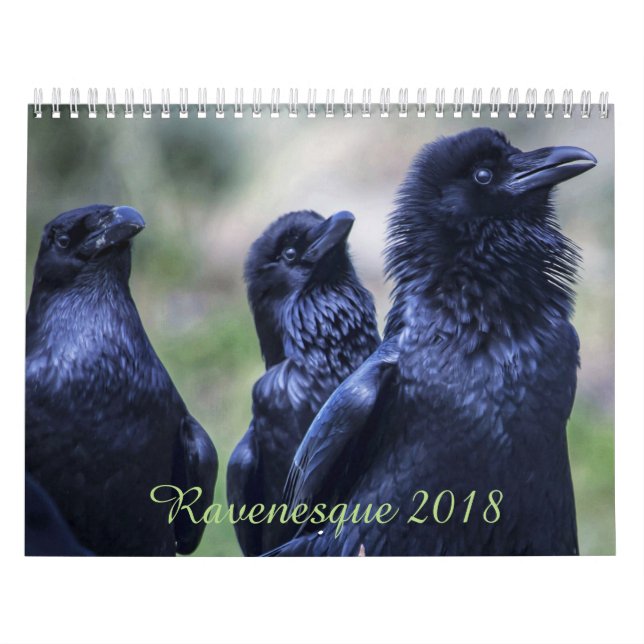 Pássaro mágico 2018 de Ravenesque calendário de 18 (Capa)
