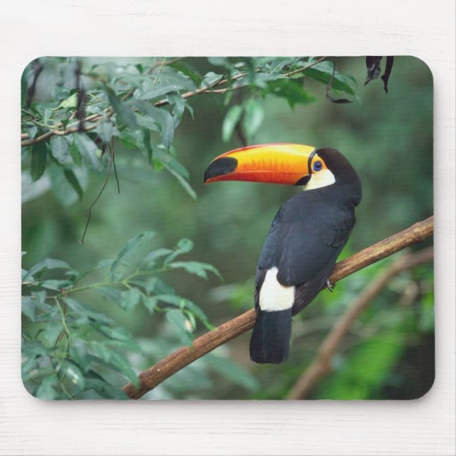 Pássaro Mousepad de Toco Toucan (Frente)