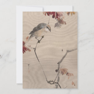 Pássaro na aranha vigiando ramificação   Watanabe 