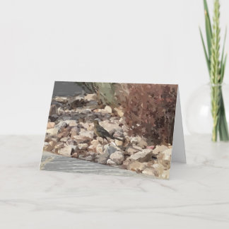 Pássaro no Cartão de Saudação Dobrado das Rochas