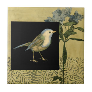 Pássaro no fundo preto e ventilado