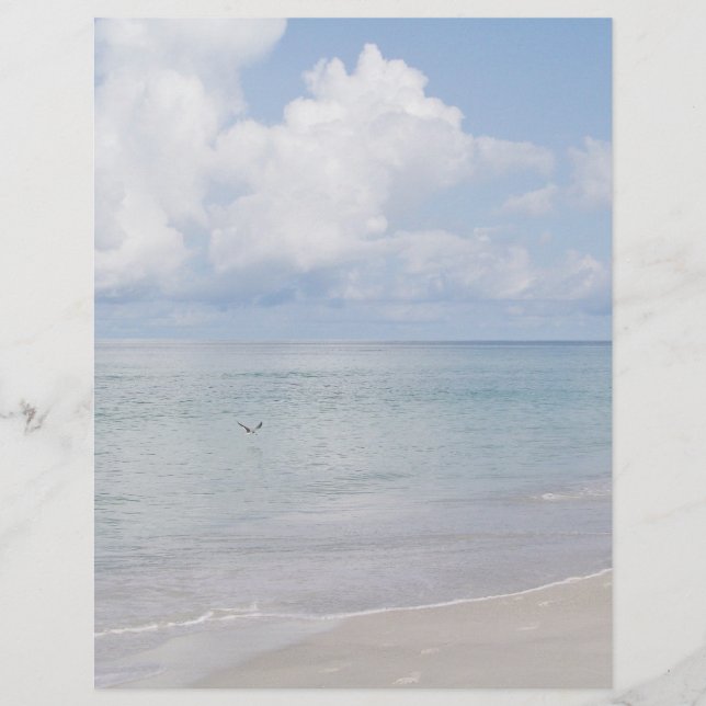 Pássaro no Papel de carta da Praia (Frente)