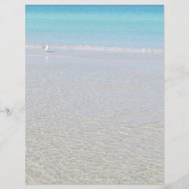 Pássaro no Papel de carta da Praia (Frente)