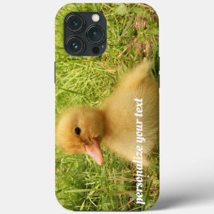 pássaro, pato, pato, amarelo, natureza, fofo, beb
