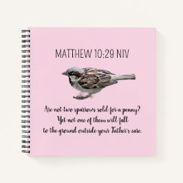 Pássaro Sparkasse Transforma Sua Bíblia De Pares V