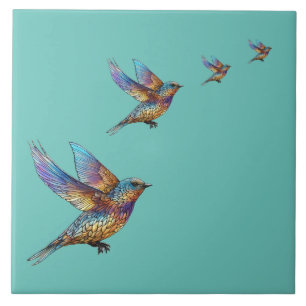 Pássaro Swift Multicolor "Aviador Grácil"