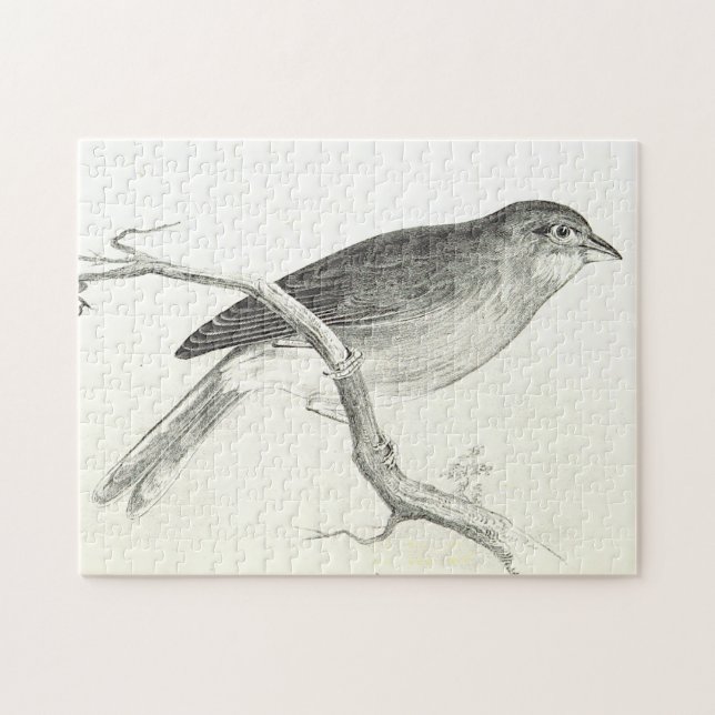 Pássaro tocando em um Quebra-cabeça de ramificação (Horizontal)