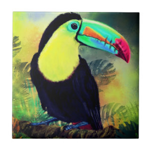 Pássaro Toco Tropical Exótico - Pintura